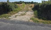 Percorso Marcia Fontaines-en-Sologne - Fontaines-en-Sologne - Les étangs - Photo 12