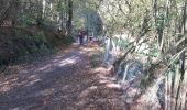 Tour Nordic Walking Sprimont - Banneux-20-11-2022 - Photo 4