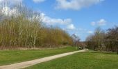 Percorso A piedi Rushcliffe - Rushcliffe Country Park 10km Course - Photo 7