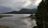 Trail Car Conamara Municipal District - 190706Connemara - Photo 2