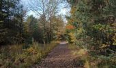 Trail Walking Fontainebleau - Croix de Toulouse 10 octobre 2023 - Photo 1