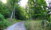 Randonnée Marche Pierrefonds - en forêt de Compiègne_30_la Tournante sous le Mont Saint-Mard - Photo 15