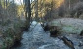 Randonnée Marche Houffalize - Wibrin - Photo 11