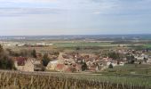 Tocht Stappen Brochon - Boucle des cent marches et du pavillon de l'empereur  - Photo 2