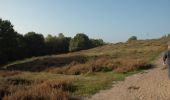 Tocht Te voet Cuijk - NS Wandeltocht Mookerheide - Photo 6