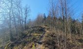Trail Walking Florenville - rando herbeumont 8-03-2022 - Photo 12