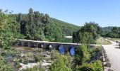 Trail Walking Montclus - montclus et bord de ceze - Photo 8