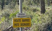 Randonnée Marche Saint-Raphaël - autour de Roussiveau - Photo 16