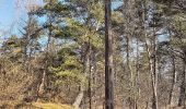 Tocht Te voet Geesthacht - Düneberger Sandberge, Rundweg 5 km - Photo 2