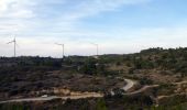 Trail Walking Conilhac-Corbières - CONILHAC - lausines - Photo 12