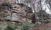 Tocht Stappen Echternach - A travers les rochers du Luxembourg  - Photo 10