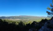 Tour Wandern Le Castellet - Les Barres du plan de Castellet - Photo 12