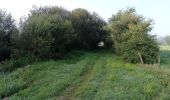 Excursión Senderismo Pontonx-sur-l'Adour - Randonnée flore - Photo 2