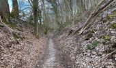 Tour Wandern Beauvechain - HAMME mille 20,8 km - Photo 8