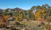 Trail Walking Castellane - CASTELLANE - CADIERES DE BRANDIS PAR COL DES LEQUES - Photo 20