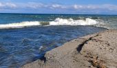 Excursión Senderismo Argelès-sur-Mer - Boucle du Mas Larrieu - Photo 2