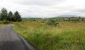 Tocht Te voet The Municipal District of Dundalk - Carlingford - Walk 4 - Ravensdale Loop - Photo 1