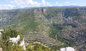 Randonnée Marche Saint-Maurice-Navacelles - cirque de nacelles moulin de la Foux - Photo 3