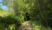 Tour  Attert - Balisage GR 15 - Photo 3
