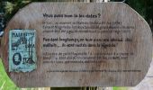 Tour Wandern Lierneux - 20250815 - LIERNEUX - Ronde d'artistes 