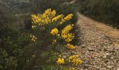 Tour Wandern Fleury - Fleury - La Négly - Photo 4