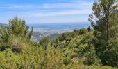 Randonnée Marche Évenos - Toulon Col du corps de garde Mont Caume - Photo 4