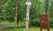 Trail Walking Gedinne - Vencimont 050624 - Photo 10
