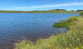 Tour Wandern Nasbinals - Nasbinals Montorzier Aubrac GR65 - Photo 11