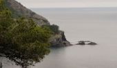 Percorso Sentiero Six-Fours-les-Plages - Île de Gaou - Photo 6