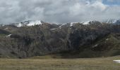 Trail Walking Beuil - Mont Moulines en boucle depuis Beuil - Photo 2