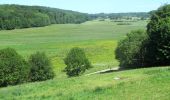 Tour Zu Fuß Unknown - Sporet ved Mesing Sønderskov - Photo 1