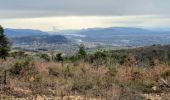 Trail Walking Le Teil - Le Teil Tour du Mont Rozier 11km - Photo 1