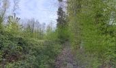 Trail Walking Theux - la reid . vert buisson . charmille / variante  - Photo 18