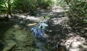 Trail Walking Saissac - le lampy - Photo 12