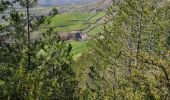 Percorso Marcia Rivière-sur-Tarn - Puech de Fontaneilles - Photo 13