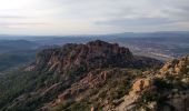 Trail Walking Roquebrune-sur-Argens - Le Rocher de Roquebrune - Photo 1