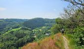 Tour Wandern Bauschleiden - 2023-06-19_14h57m44_eislek-pad-boulaide-1 - Photo 5