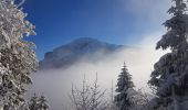 Tour Schneeschuhwandern Sarcenas - Le  Mont Fromage et ses crêtes - Photo 12