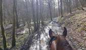 Trail Horseback riding Viroinval - Oignies grand tour - Photo 2