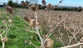 Trail Walking Gerpinnes - Gerpinnes par monts et par vaux - Photo 6