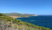 Excursión Senderismo Rogliano - Cap Corse Macinaggio à Barcaggio, via tour d’Agnello - Photo 6