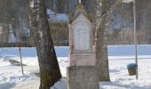 Tocht Te voet Aschau im Chiemgau - Wanderweg 1 - Von Sachrang nach Walchsee - Photo 10