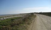 Tocht Te voet Saintes-Maries-de-la-Mer - Boucle entre les deux bras du Rhône - Photo 3