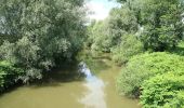 Tocht Te voet Hengsberg - Hengist Kulturwanderweg Hengsberg Laßnitztal-Runde - Photo 6