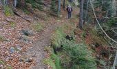 Tocht Stappen La Bastide - coll de palomere - Photo 15