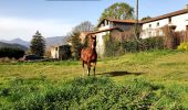 Tocht Stappen Barbazan - Petit tour de Barbazan - Photo 2