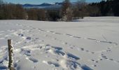 Randonnée Raquettes à neige Valserhône - col de Cuvery - Photo 3