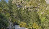 Randonnée Marche Rémuzat - les Aiguilles de Remuzat - Photo 8