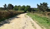 Tocht Te voet Wealden - Chelwood Vachery (Ashdown Forest on foot) - Photo 4