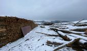 Tour Wandern Hohenfels - Houffalize 24 Km - Photo 15